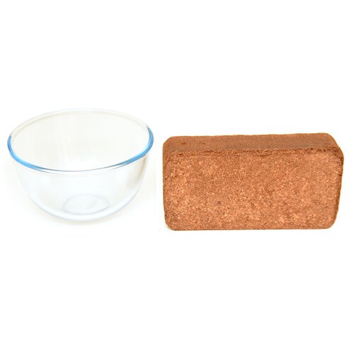 Coir Block Substrate and Bowl